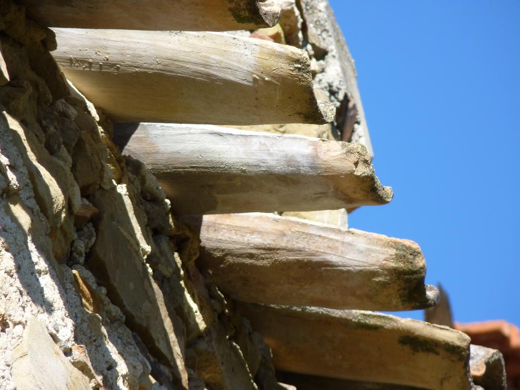 Agriturismo C'Era Una Volta Camporosso  Exterior foto